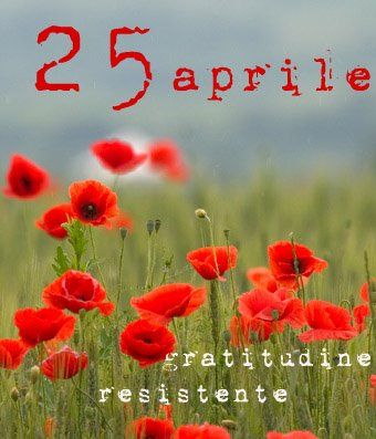 Immagine che raffigura 25 aprile - 77° Anniversario della Liberazione