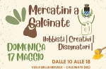 mercatini a calcinate
