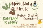 mercatini a calcinate
